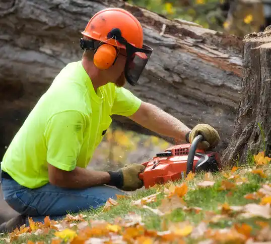 tree services Kosciusko